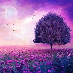 Meet your Posher, Yesenia